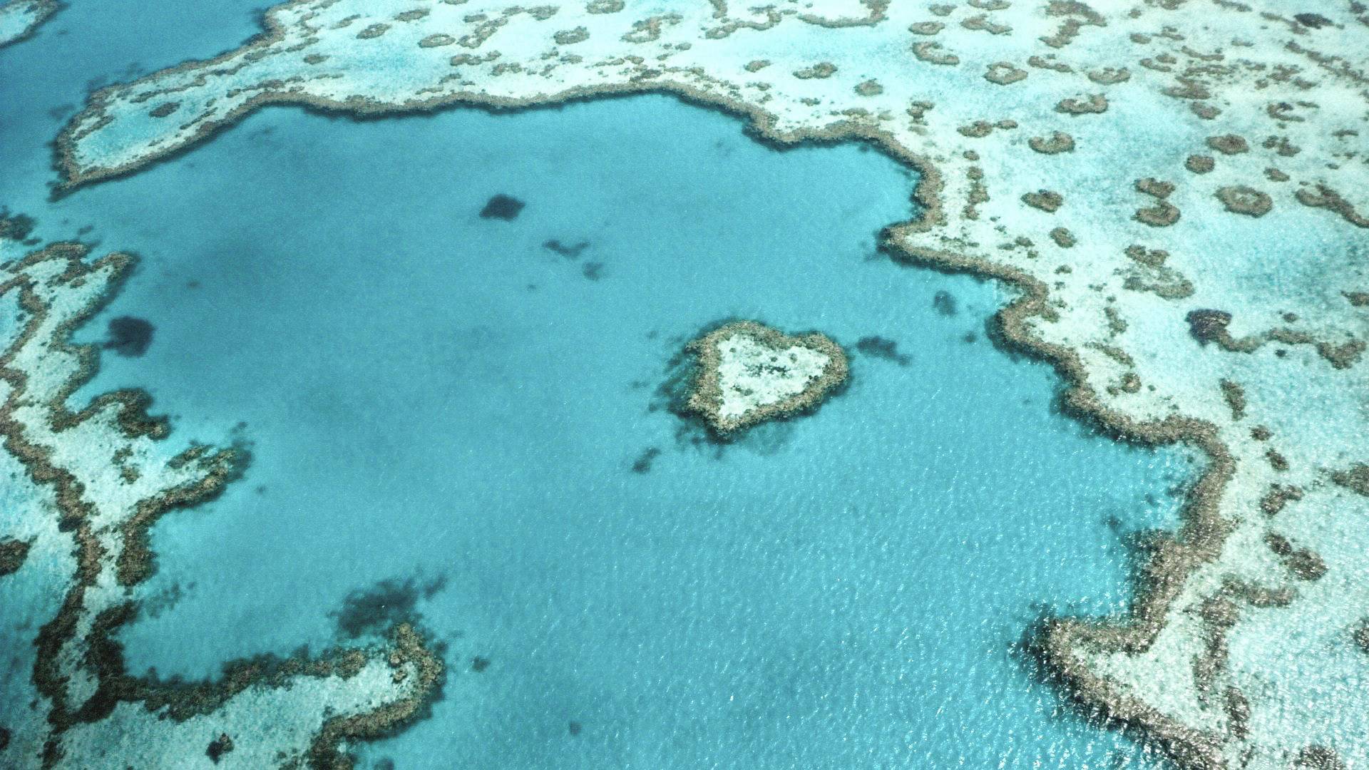 Australia-Queensland-Whitsundays-Great-Barrier-Reef-Heart-Reef-Senic-Flight-1920